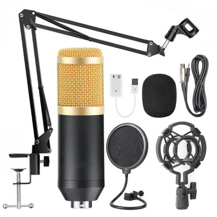 Fdit Kit de microphone à condensateur cardioïde Kit de microphone à  condensateur Kit de micro de Studio cardioïde professionnel - Cdiscount TV  Son Photo