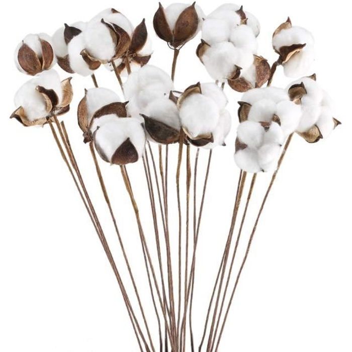 Wallpaper 20 Pieces Series 24 Pouces Le Tige De Coton Sechee Naturelle For Android Free