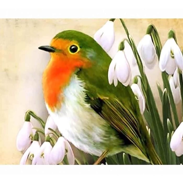 Peinture Numéro Adulte – Paysage Fleurs 40x50 Cm – Kits Acryliques – Sans Cadre – Idée Cadeau Maison