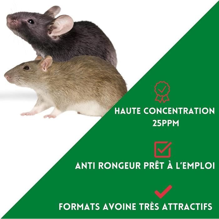 Raticide Rats et Souris-Souricide foudroyant, Mort aux Rats Puissant  intérieur et extérieur