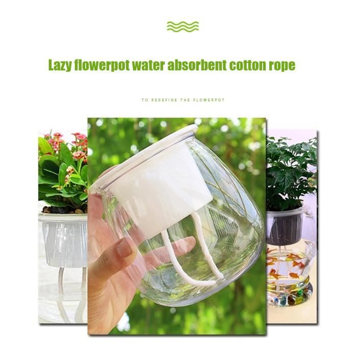 Yardenfun Corde en coton d'arrosage automatique pour plantes en pot - Corde absorbante pour plantes en pot - Corde en coton auto-arrosage - Corde absorbante pour plantes - Violet et blanc - Vacances
