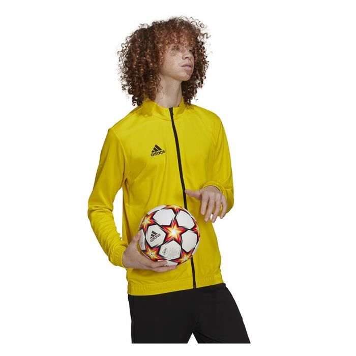 Sweat Adidas Entrada 22 Jaune Homme Adulte Jaune Cdiscount Sport