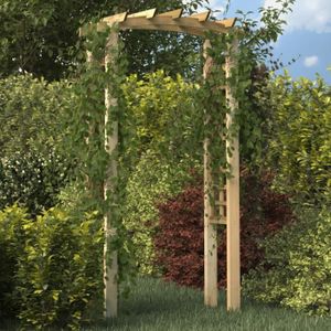 ARCHE Arche de jardin en bois de pin massif imprégné - F