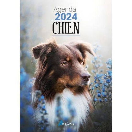 Agenda scolaire - Petit chien - 2023/2024 - 1 page par jour - Août 2023 à  août 2024 - Cdiscount Beaux-Arts et Loisirs créatifs