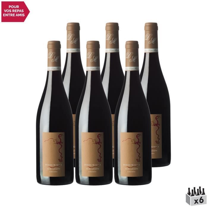 Saint-Joseph Lleandre Rouge 2017 - Lot de 6x75cl - Didier Morion - Vin AOC Rouge de la Vallée du Rhône - Cépage Syrah