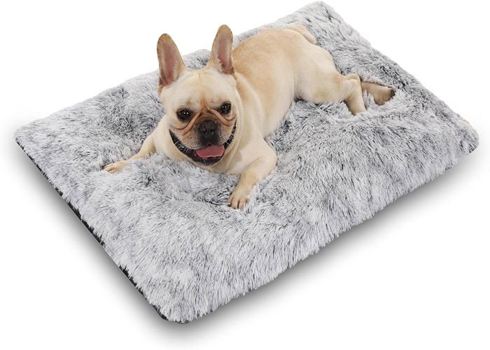 Comparer les prix de Panier Chien [65X50Cm] Matelas Lit Chien Confortable Et Antidérapant,Lit Pour Cage De Chien Tapis Pour Chiens Et Chats Coussin De N