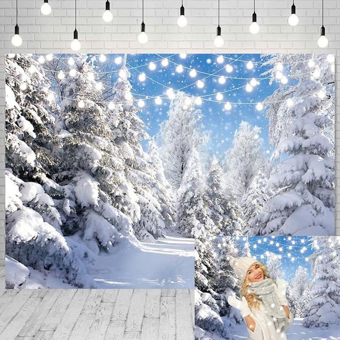 Toile De Fond Forêt D'hiver Pour Photographie, Champ De Neige