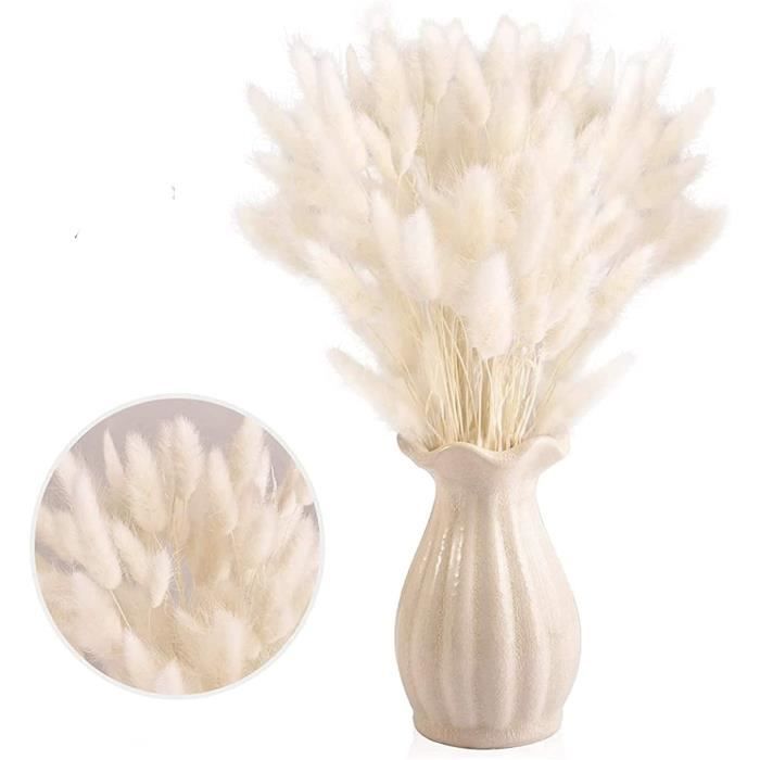 60 Brins D'herbe De Pampa Queue De Lapin Séchée - 43cm - Décoration Mariage, Noël, Maison - QUARKZMAN