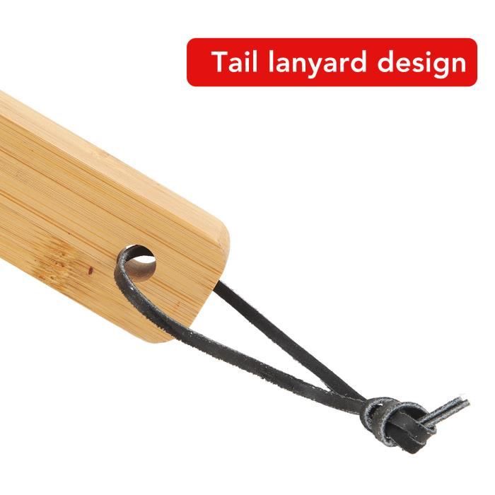 Brosse Grattoir Pour Four à Pizza - Longueur 148 Cm, Acier Inoxydable, Manche Amovible