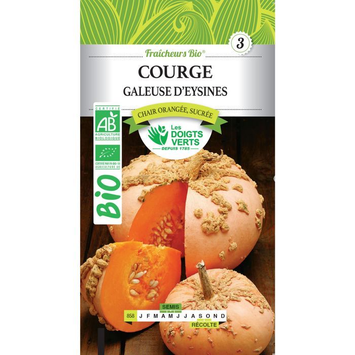 Comparer les prix de Graines Courge Galeuse dEysines BIO Les Doigts Verts