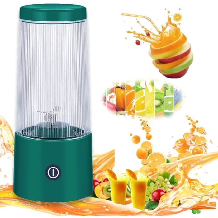 Mixeur Portable HavenDomicile - Fonction Auto-nettoyage, Moteur Puissant Pour Smoothies Et Protéines - Acier Inoxydable (28,4 Cm)