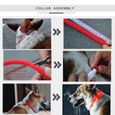 70cm Collier de chien rechargeable USB LED clignotant allume la ceinture de sécurité étanche Rose-3