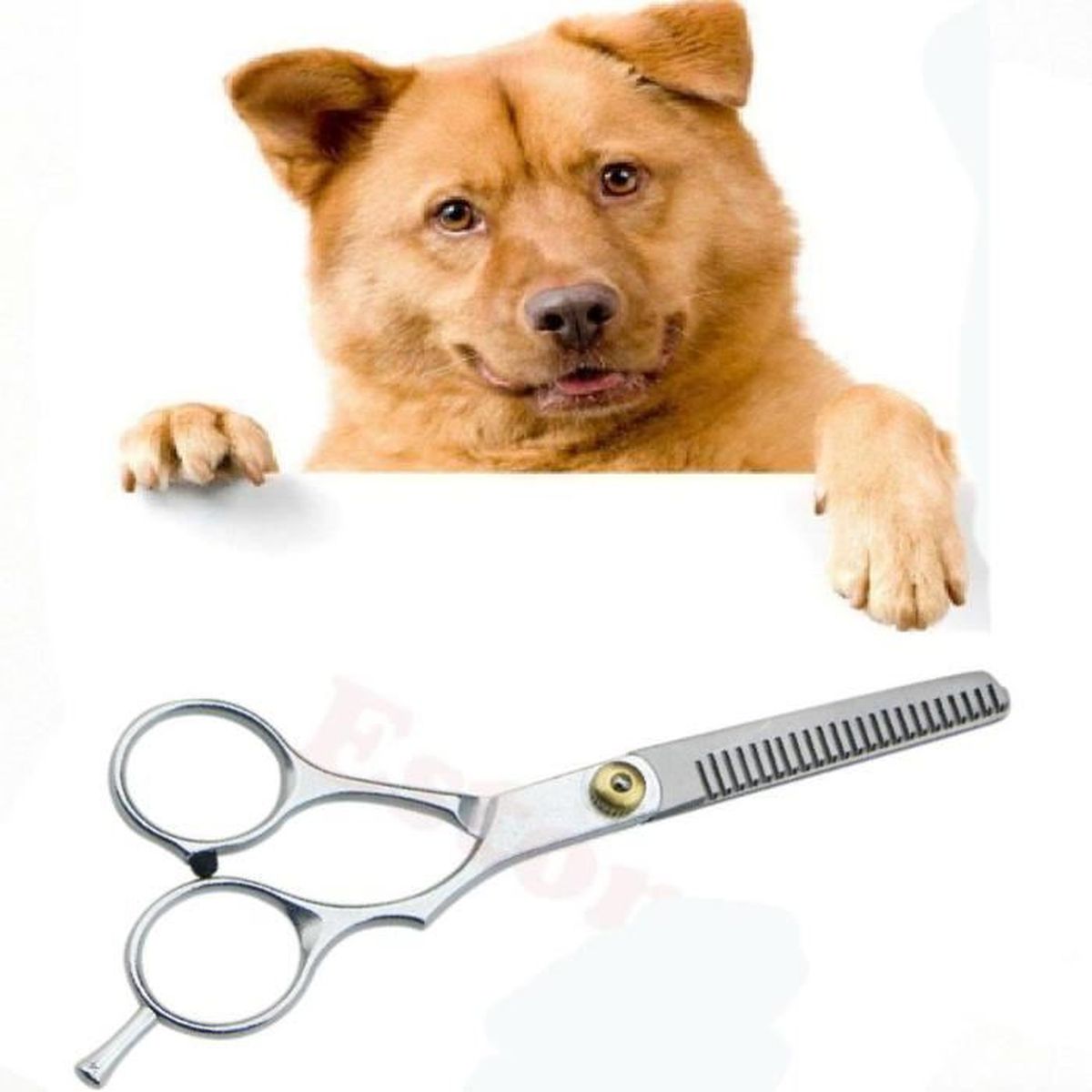 Ciseaux De Toilettage à Effiler Pour Chien Chat Pour Désépaissir Pelage