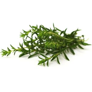 GRAINE - SEMENCE 300 Graines de Sarriette - plante aromatique médicinale- jardin méthode BIO