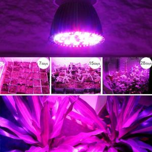 LAMPE VERTE Cultivez la lumière, le spectre complet mené par E27 élaborez une ampoule de lampe croissante pour la plante de culture