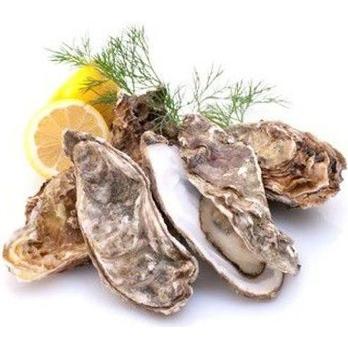 24 Huîtres N° 3 fine de Claire Marennes Oleron (Crassostrea gigas)