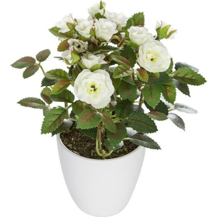Atmosphera - Fleur blanche en pot H18 D, 7,5 x H, 18 cm / Pot : D, 7,5 x H,  7,5 cm Petites Rose - Cdiscount Jardin