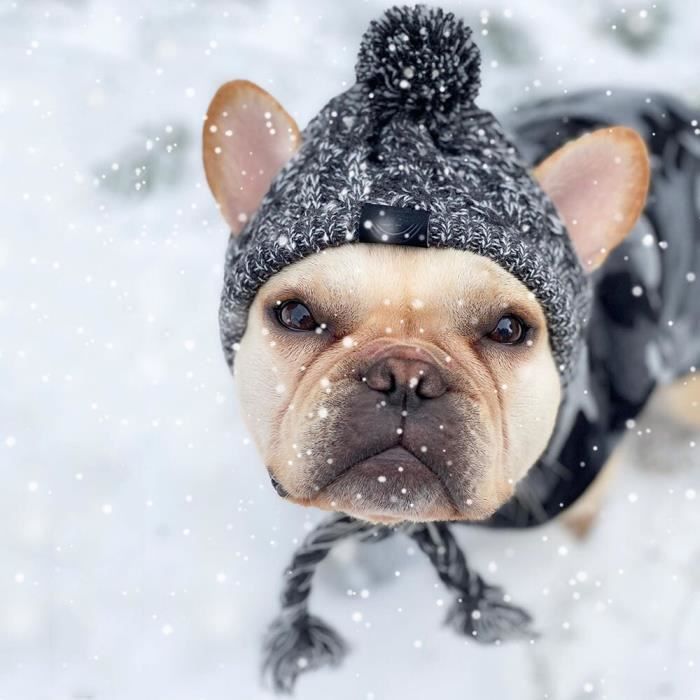 Casquette-snood,Chapeau d'hiver pour chien avec trous pour les oreilles et  long pompon,bonnet chaud pour chat,bouffée - GRAY-M[E146] - Cdiscount