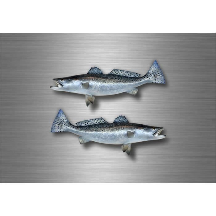 Autocollant sticker voiture moto pecheur peche poisson