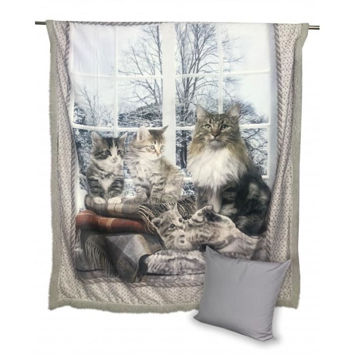 Plaid Couverture Polaire Sherpa Photographie Numerique Chat Chats Gt19 Avec Un Coussin Meubles Cm 130x160 Cdiscount Maison