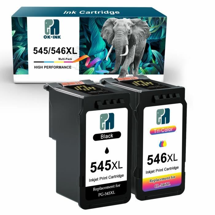 Lot De 2 Cartouches D'Encre Noire PG545XL Reconditionnées Pour Canon Pixma MG2450 - Marque Best Office