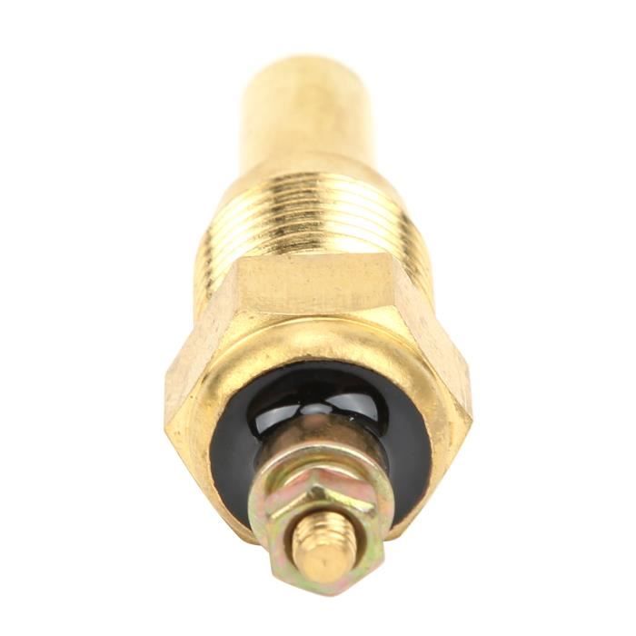 TEM-LAB-24NS : Capteur de température LoRa IP68 - 2 sondes haute