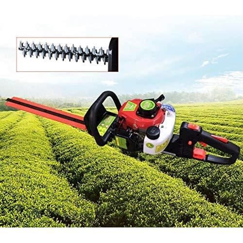 Ampoule Xenon D5S 25W 12V Philips - Pour Phare Citroën C4 II Picasso, Couleur ~4200K-5700K