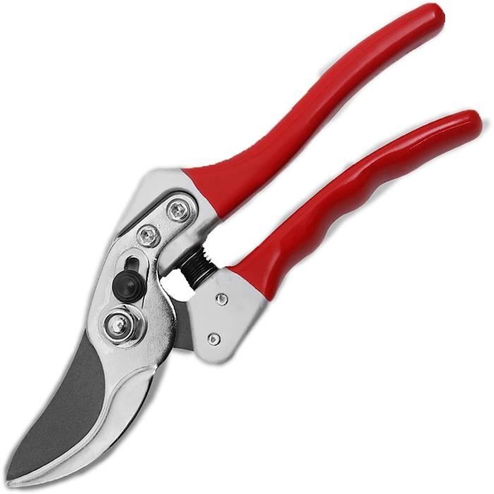 QianRuiDa Sécateur De Jardin Pro – Lames Acier Inox Tranchantes, Poignée Antidérapante Ergonomique, Coupe Précise Fleurs, Plantes & Fruits