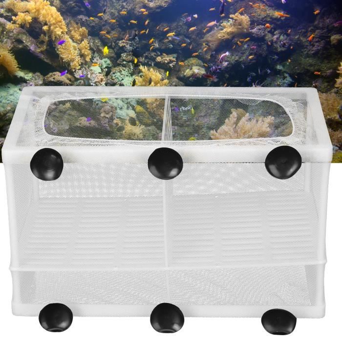 Meilleurs prix pour Boîte délevage de poissons - Vvikizy - Grand - Plastique durable - Installation facile - Multifonctionnelle
