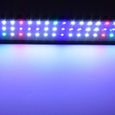 Aquarien Eco Rampe LED Aquarium 60CM Lampe Blanc Bleu Rouge Vert 2 Modes 60cm-80cm Extensible éclairage pour Plantes Poissons-2
