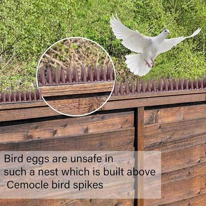 4 Meters Pic Anti Pigeon pour Balcon Repulsif Pigeon Anti Chat Anti Oiseaux  Protection du Jardin Pics[1220] - Cdiscount Au quotidien
