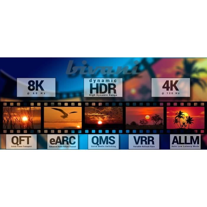 Bivani hdmi online 2.1