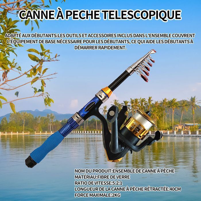 Canne à Pêche Télescopique 1,8 M + Moulinet – Eau Douce Et Salée – Neuf
