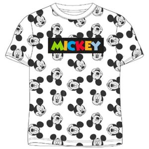T-SHIRT T-shirt Disney - DIS MFB 52 02 A083 S2 - Garcon T-Shirt