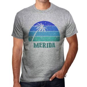 T-SHIRT Homme Tee-Shirt Palmier Plage Coucher De Soleil À Mérida – Palm, Beach, Sunset In Merida – T-Shirt Vintage Gris