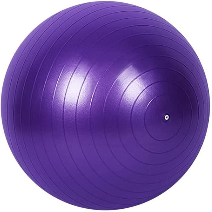 Ballon de Gymnastique Balle d’Exercice Fitness,Ballon Gym avec Pompe Antidérapant pour Pilates, l'exercice,Yoga (Violet 55cm)