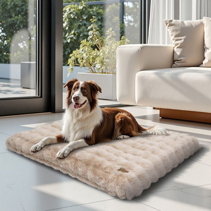 Meilleurs prix pour Panier pour Chien - UNHO - Modèle Déhoussable - 105x70cm - Beige - Grand Taille