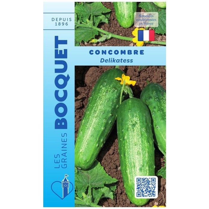 Graine - Semence - Concombre Délikatess