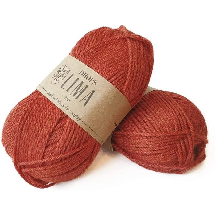 Fils à tricoter doux en laine d'alpaga italienne, boules de 50 grammes / 1,76 oz - France