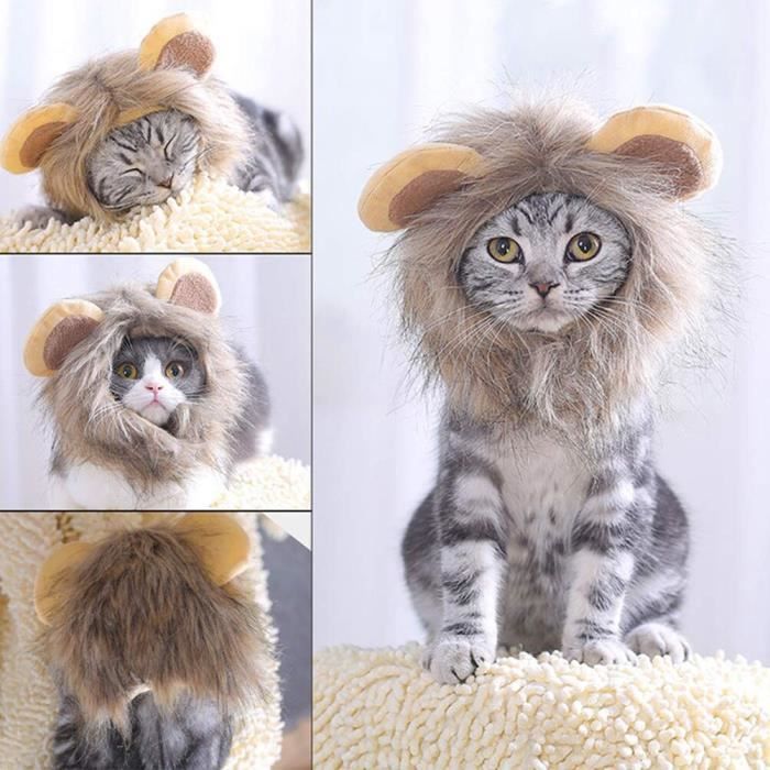 Tlgv Perruque Criniere De Lion Pour Chat Perruque Reglable En Poils De Lion Confortables Vetements Pour Halloween Noel Festi Cdiscount Tlgv Perruque Criniere De Lion Pour Chat Perruque Reglable En Poils De Lion Confortables Vetements Pour Halloween Noel Festi Cdiscount