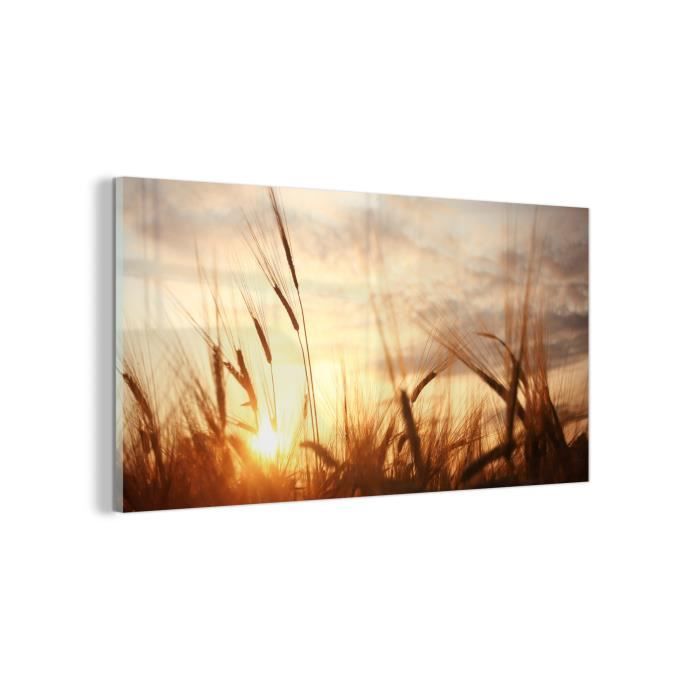 Tableau Sur Toile Tulup – 120x60 Cm, Paysage Prairie Et Soleil, Impression