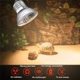 E27 Ampoule de chauffage uva uvb pour reptile terrarium 50W-1