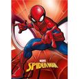 Plaid spiderman marvel-0