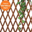 Treillis pour plantes grimpantes - Trade Shop - 180x60cm - Bois massif - Bois foncé-0