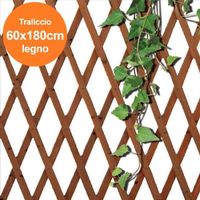 Treillis pour plantes grimpantes - Trade Shop - 180x60cm - Bois massif - Bois foncé