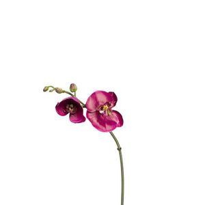 FLEUR ARTIFICIELLE Tige d'Orchidée Phalaenopsis Budy - Fuchsia - Polyester - 1 - Mixte
