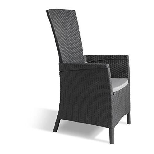 Allibert Vermont Chaise pour Salle à Manger avec Coussin 64 x 68 x 107 cm Graphite-Gris 247752