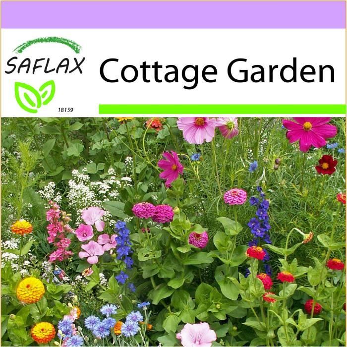 SAFLAX - Cottage Garden - 1000 graines - 21 Variétés