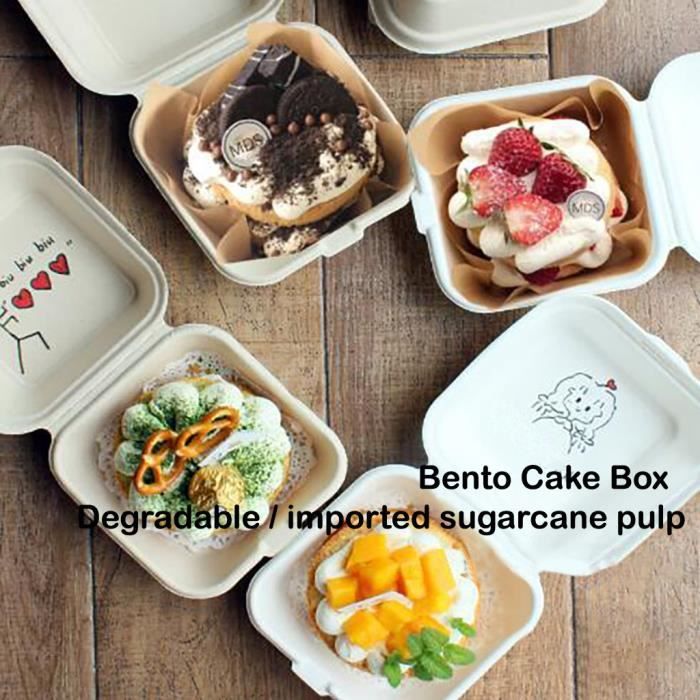 Boite A Lunch Facile A Transporter Boites A Collation De Protection De L Environnement De Gateau Jetable De Cuisson De Bento 10 Achat Vente Lunch Box Bento Cdiscount