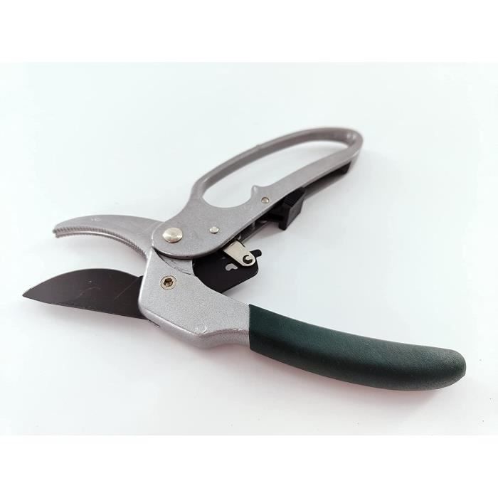 Burgon & Ball Cisaille à Orchidée Précision 15,2 Cm – Acier Inox Antirouille, Poignées Douces – Coupe Parfaite Pour Orchidées & Plantes Fines